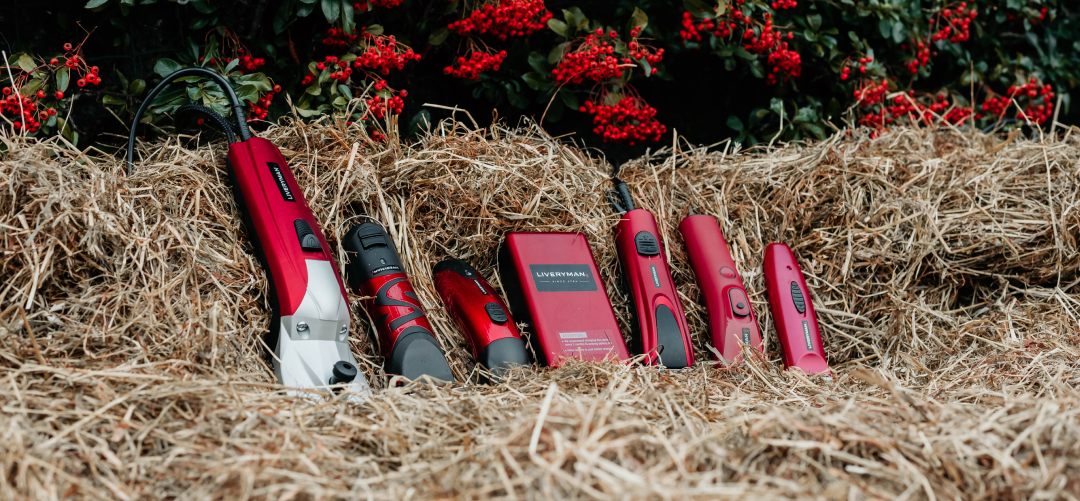 Best Clipping Practices For Your Horse