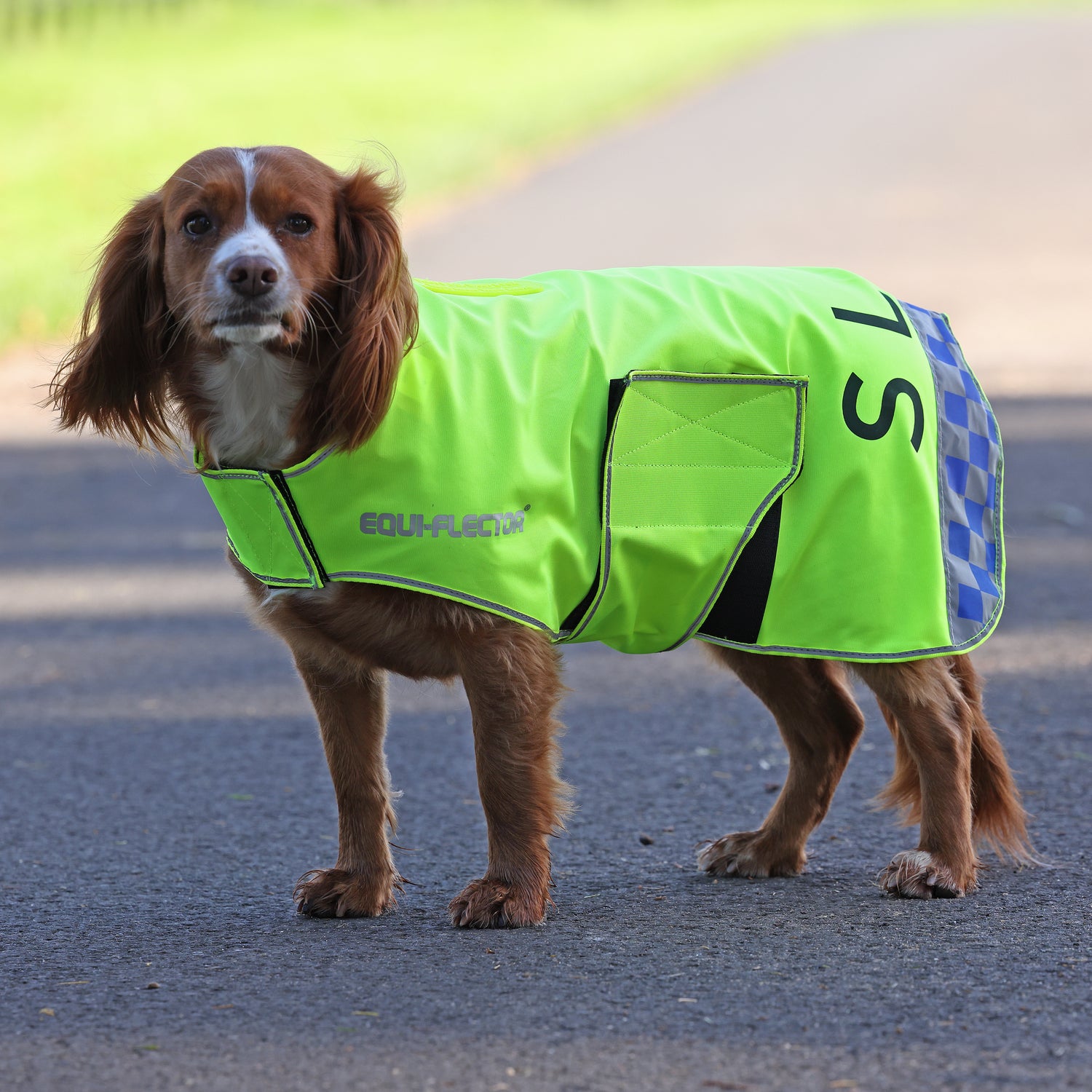 Shires EQUI-FLECTOR® Mesh Dog Coat #colour_yellow