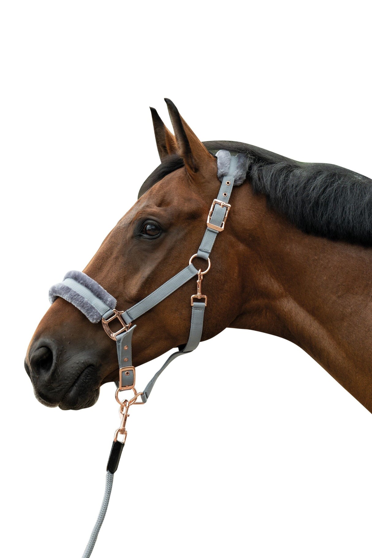 HKM Head Collar -Rosegold Glamour- Style #colour_grey-rose-gold
