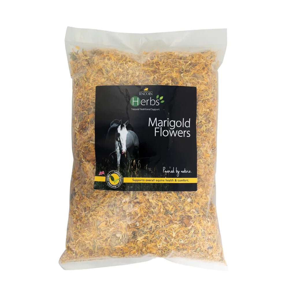 Lincoln Herbs Marigold Flowers