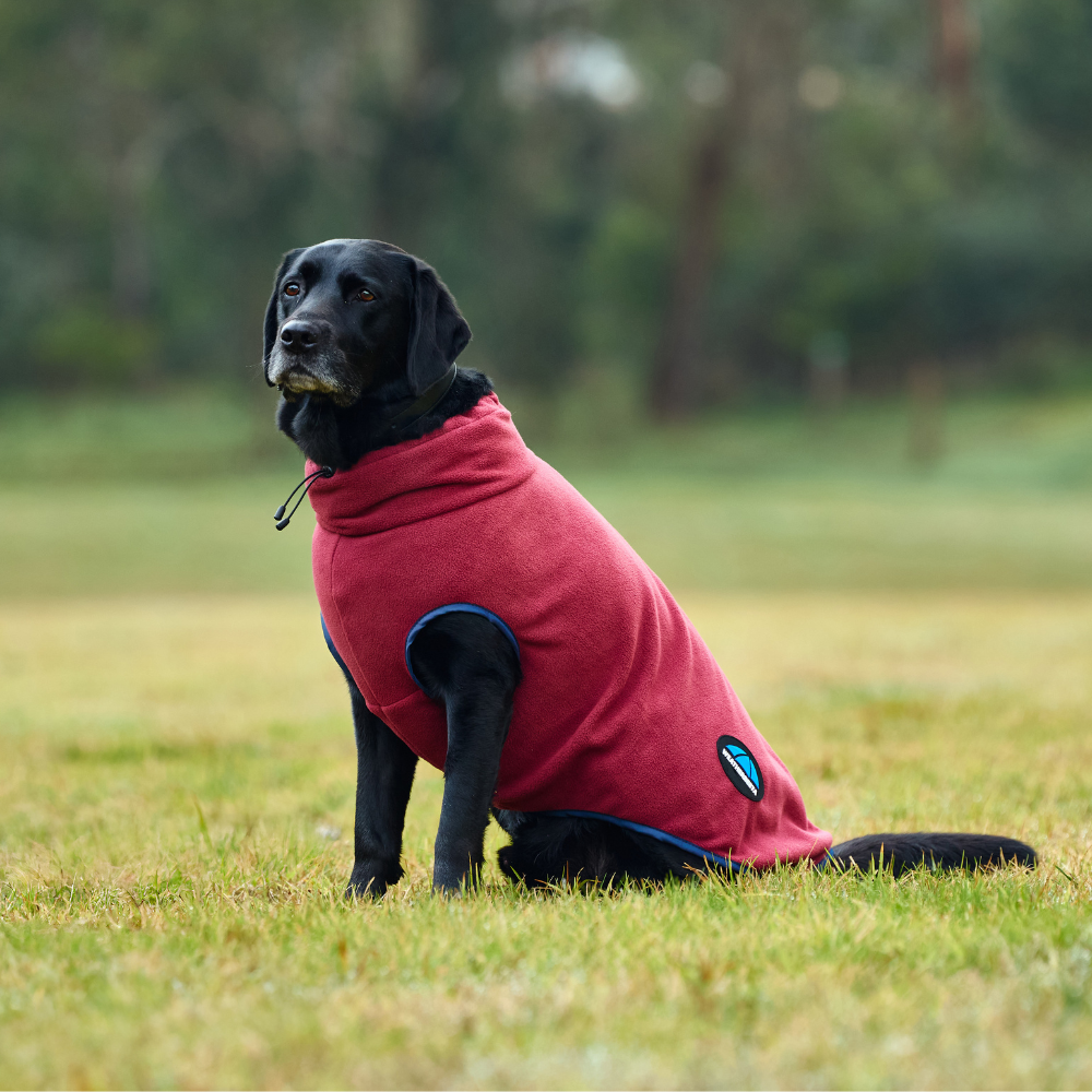 Weatherbeeta Comfitec Fleece Zip Dog Coat #colour_burgundy-navy
