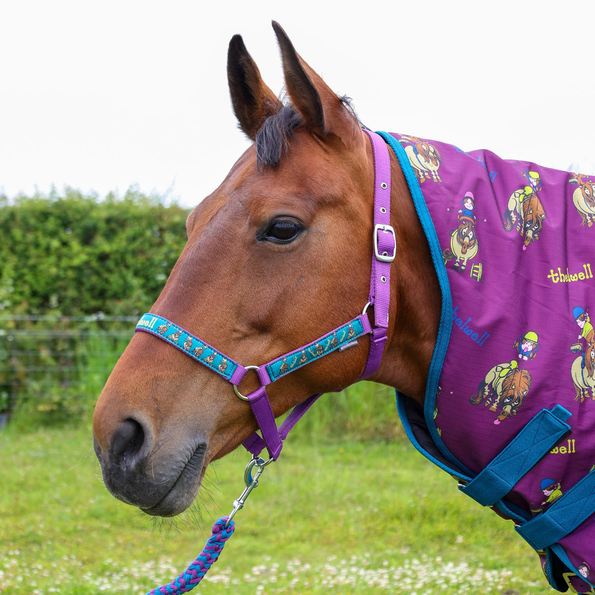 Hy Equestrian Thelwell Collection Pony Friends Head Collar & Lead Rope