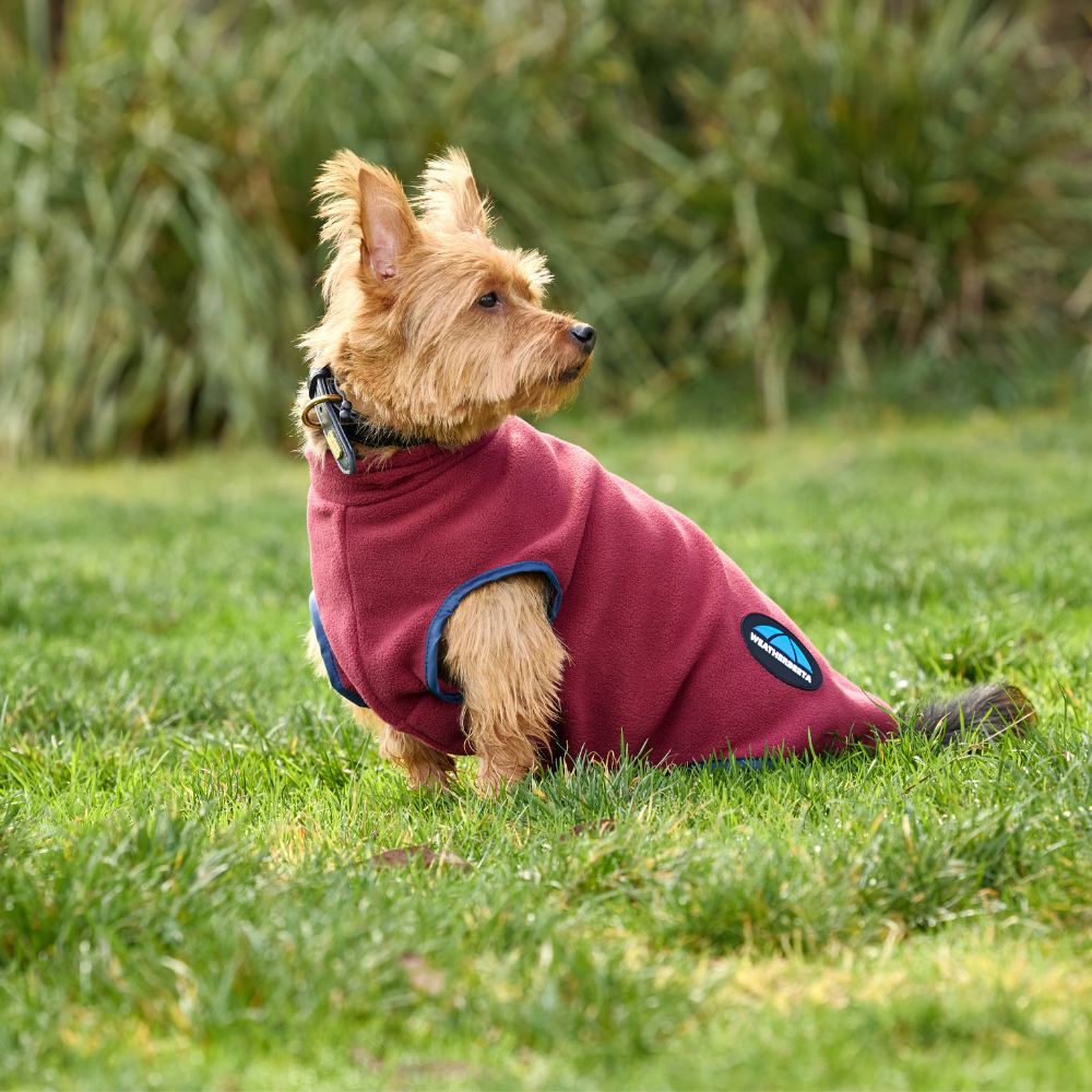 Weatherbeeta Comfitec Fleece Zip Dog Coat #colour_burgundy-navy