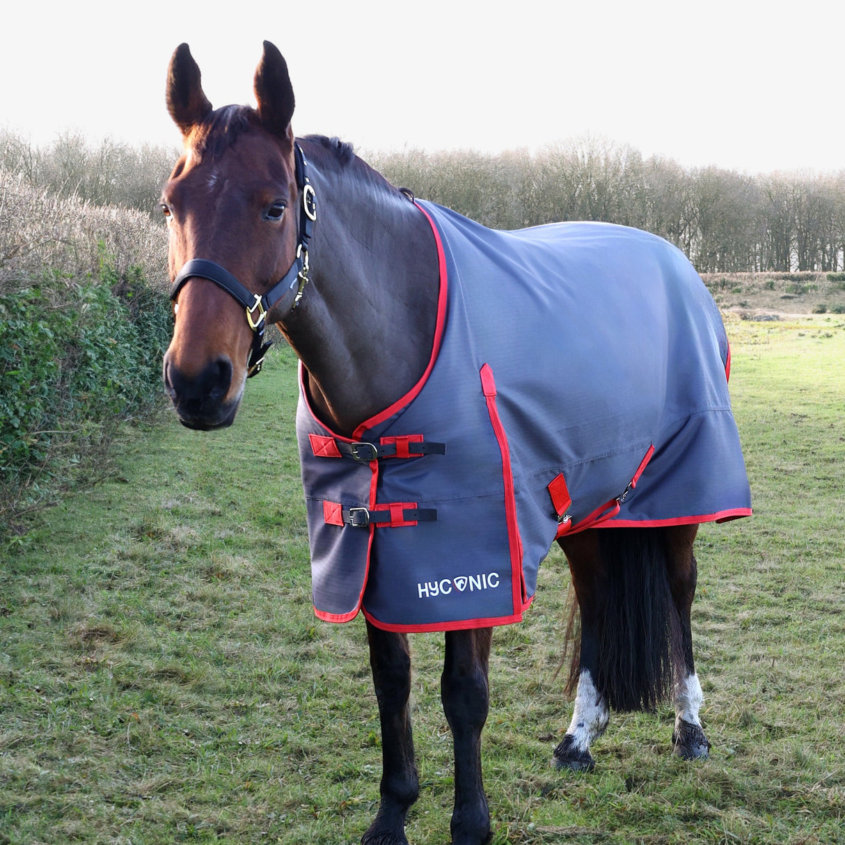 HYCONIC 0g Turnout Rug