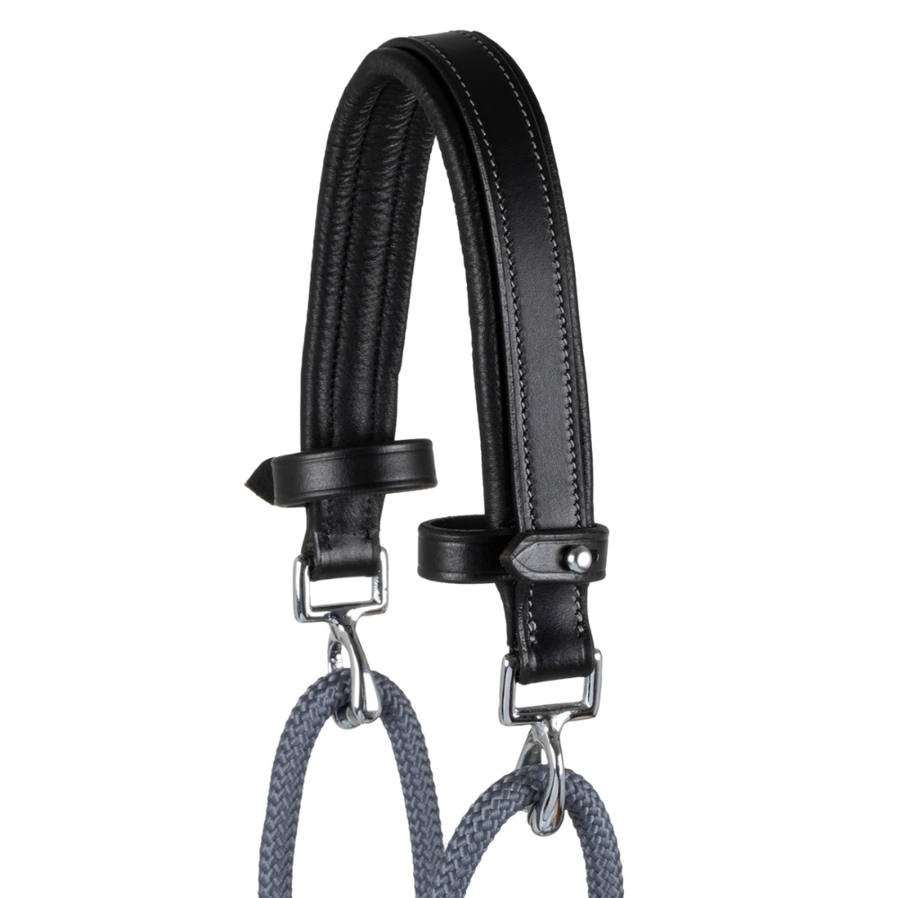 Acavallo Gogue Calfskin & Nylon #colour_black