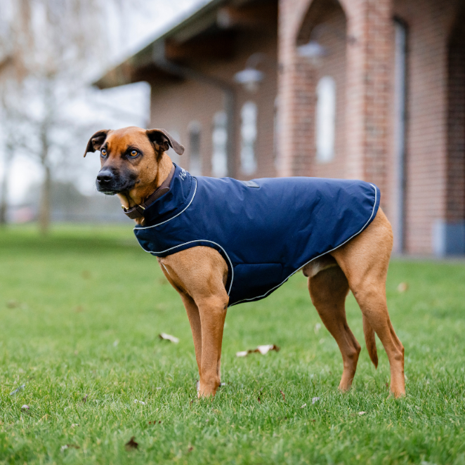 Horseware Ireland Signature 100g Dog Rain Coat #colour_navy