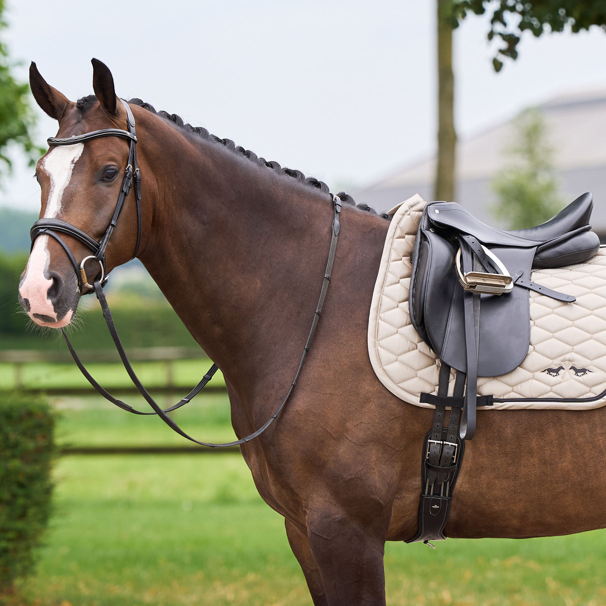 HV Polo Joan Dressage Saddle Pad #colour_cashmere