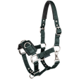 STAR Economic Lunging Halter #colour_fir-green