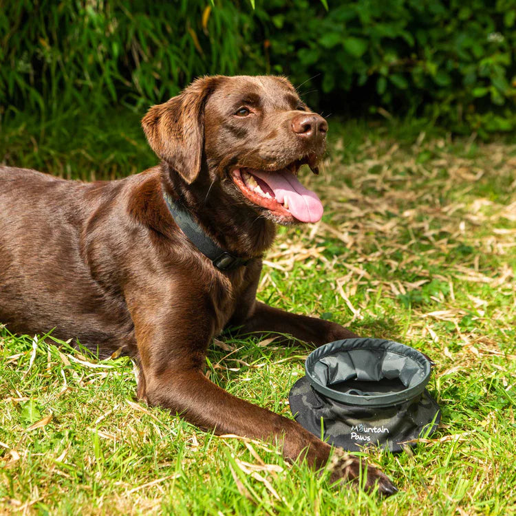 Mountain Paws Collapsible Dog Water Bowl #colour_camo