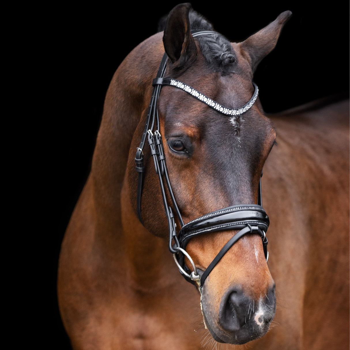 Imperial Riding Olympia Bridle #colour_black-silver