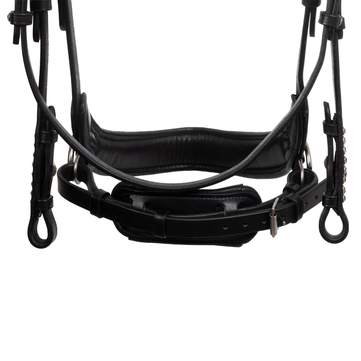 Acavallo Sunset Bridle Calfskin #colour_black
