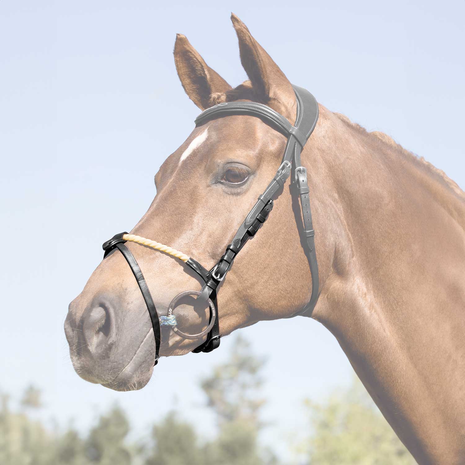 Acavallo Rope Flash Noseband #colour_black