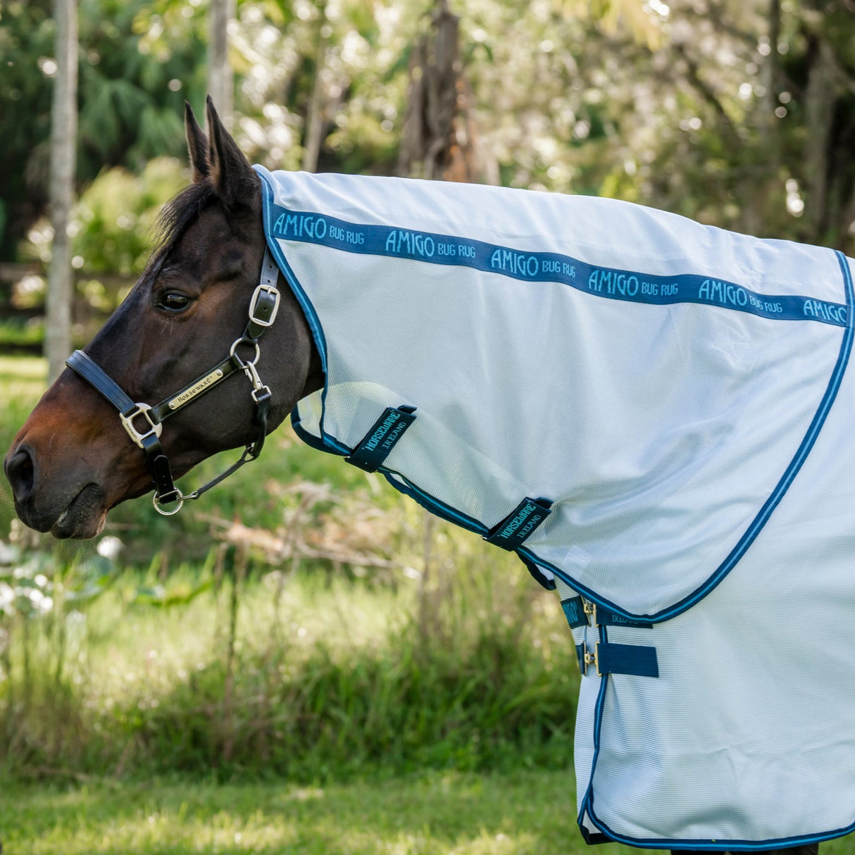 Horseware Ireland Amigo Bug Rug XL Plus #colour_azure-blue-navy-electric-blue