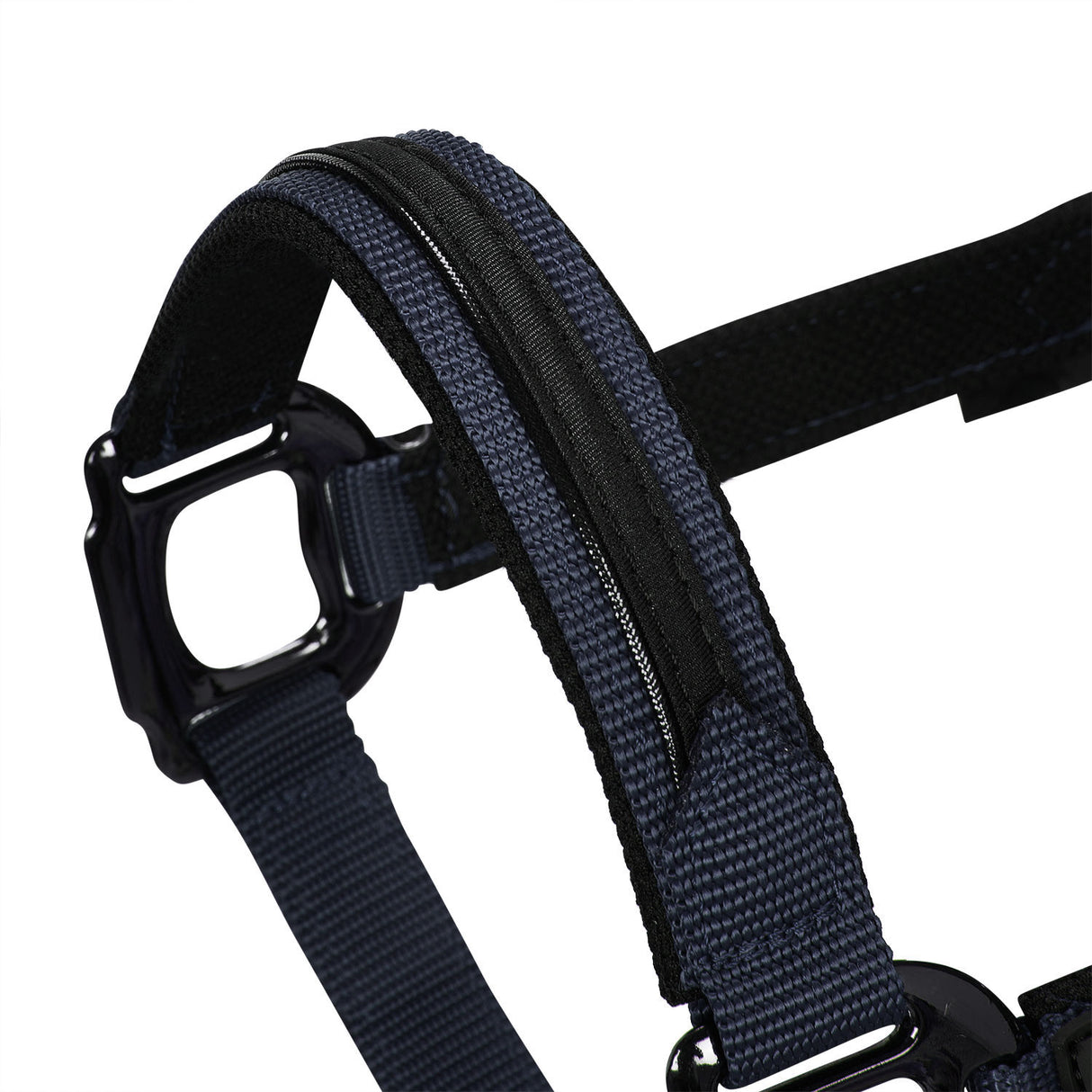 Equestro Durable Fleece Halter #colour_blue