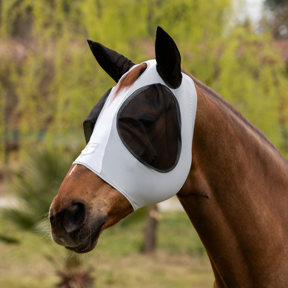 Two tone mesh anti-fly mask