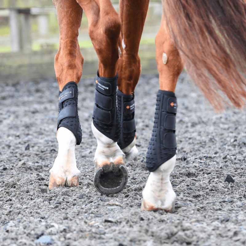 Equilibrium Stretch und Flex Flatwork Wraps