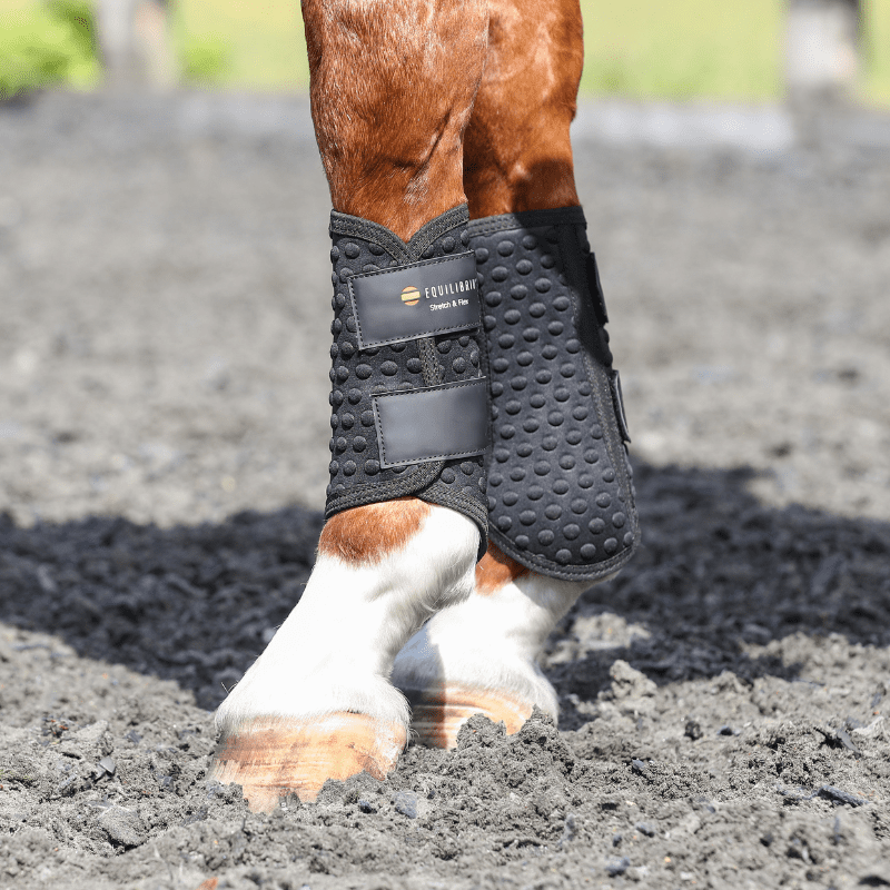 Equilibrium Stretch und Flex Flatwork Wraps