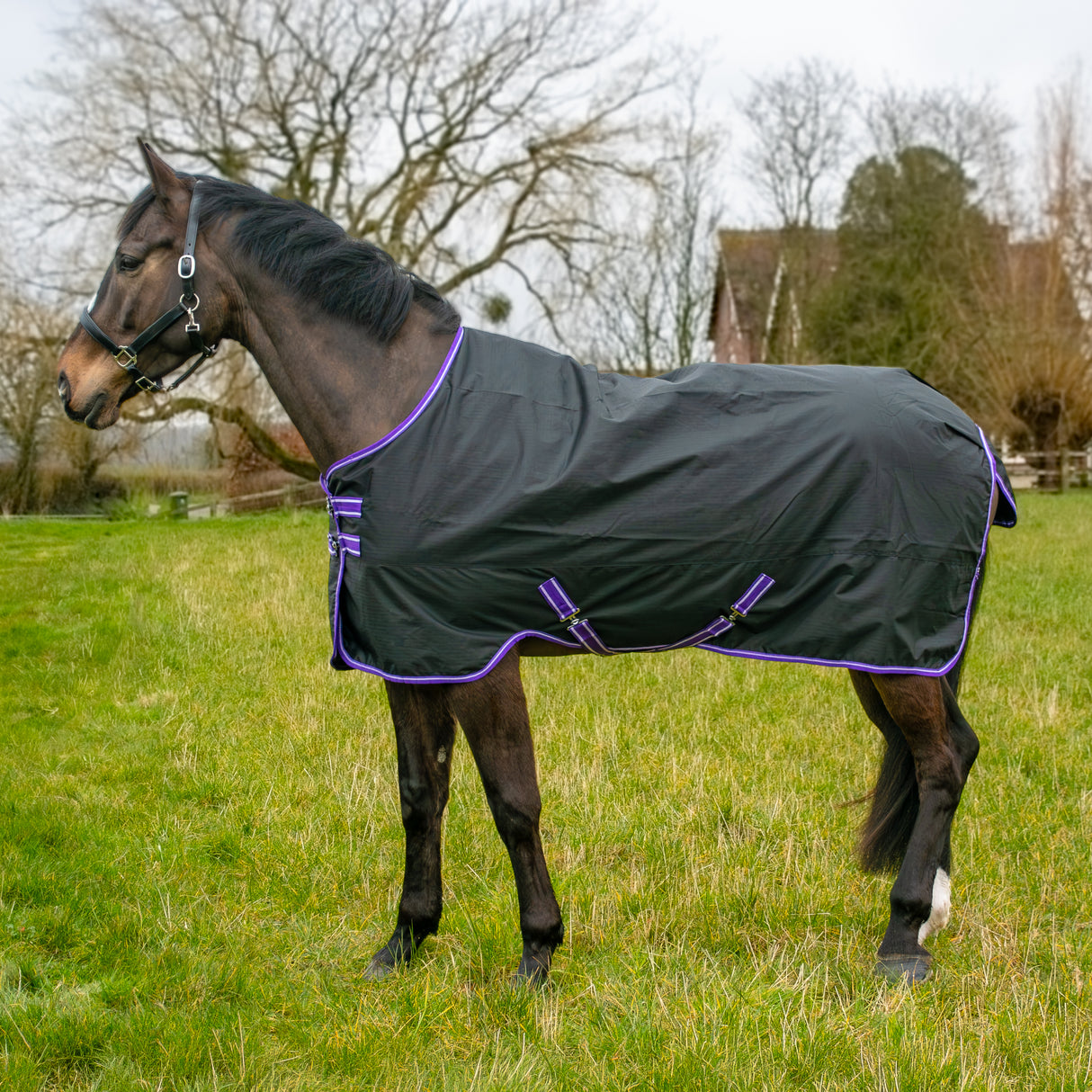 Couverture de participation imperméable GS Equestrian 600D 100 g