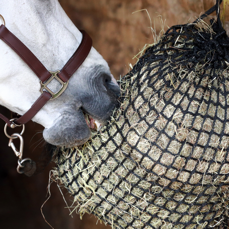 Equilibrium PortionPacer Haynet Slow Feeder