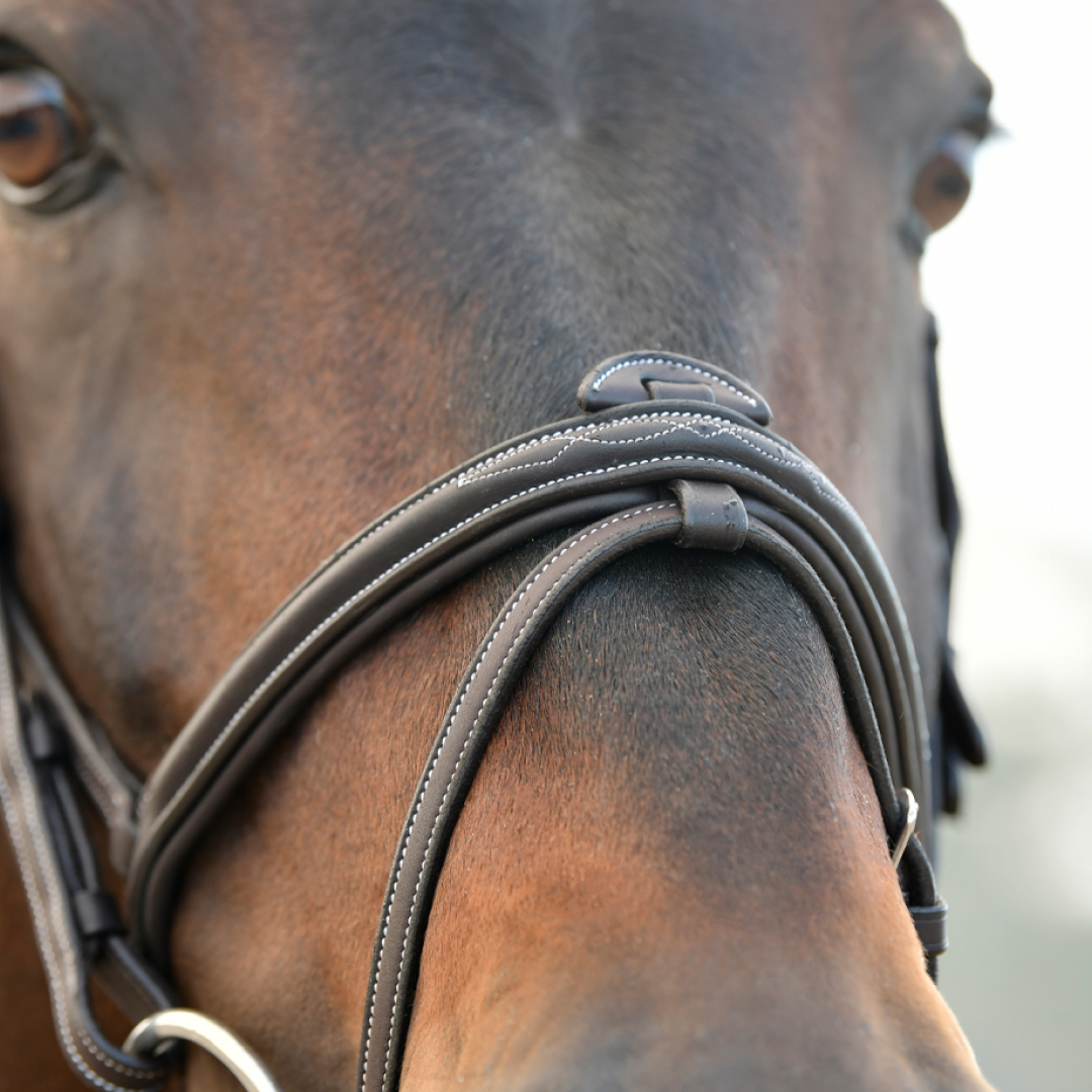 Collegiate Comfitec Opulux Fancy Stitch Padded Hanoverian Bridle #colour_dark-brown