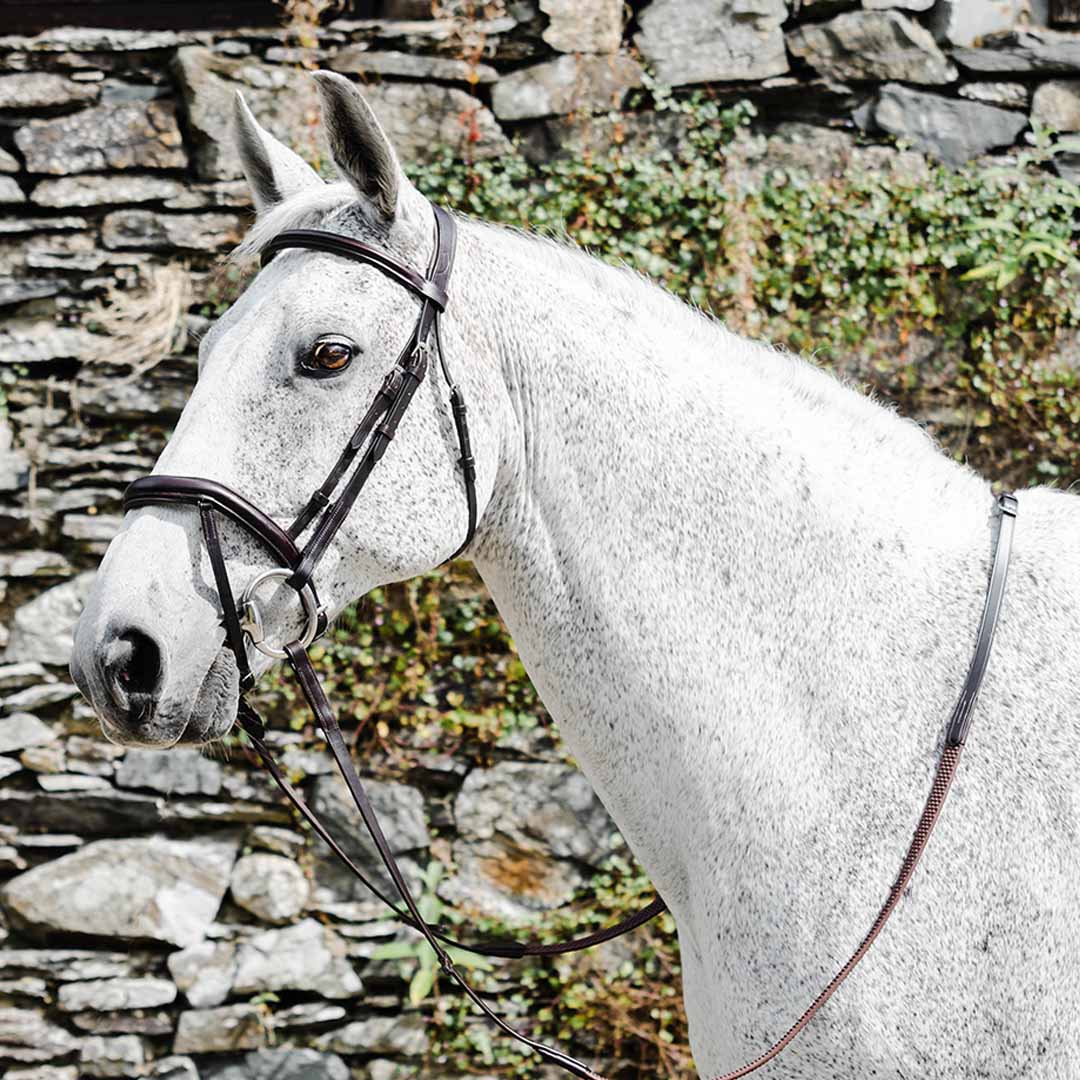 Bride Mackey Legend Apollo