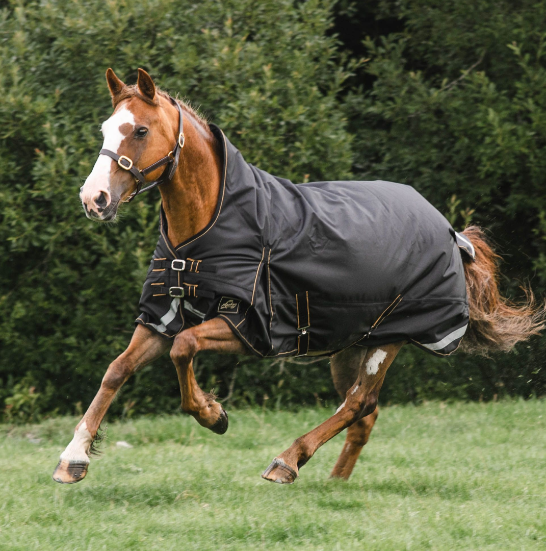 Mackey Lugnaquilla Semi High Neck 360G Turnout Rug #colour_black-gold