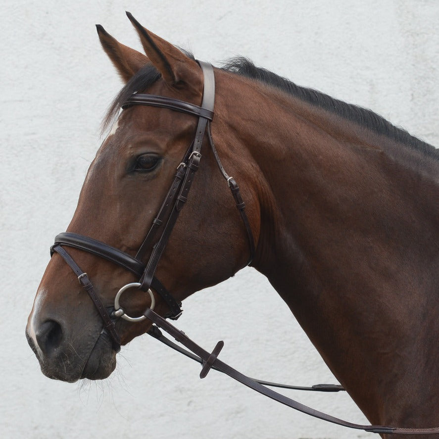Mackey Classic Flash Bridle #colour_brown