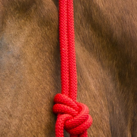 Norton First Rope Headcollar