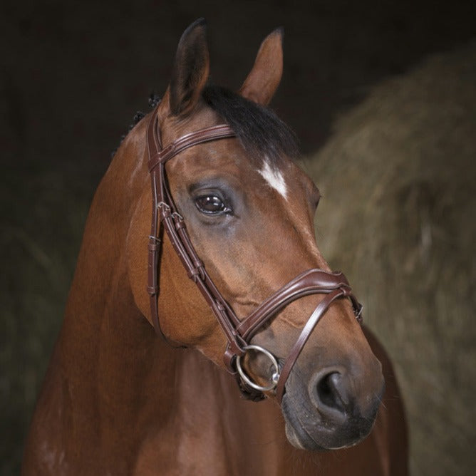 Norton Pro Vague Bridle #colour_havana