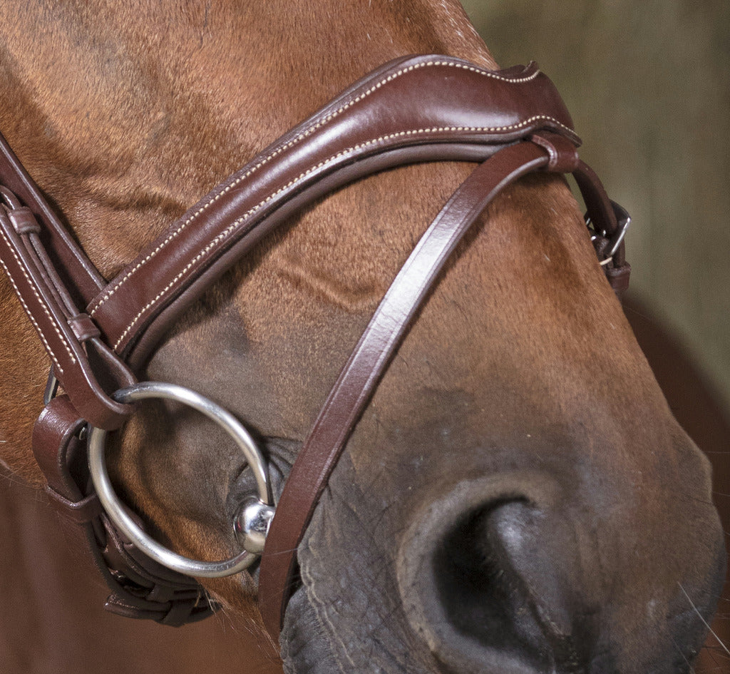 Norton Pro Vague Bridle #colour_havana