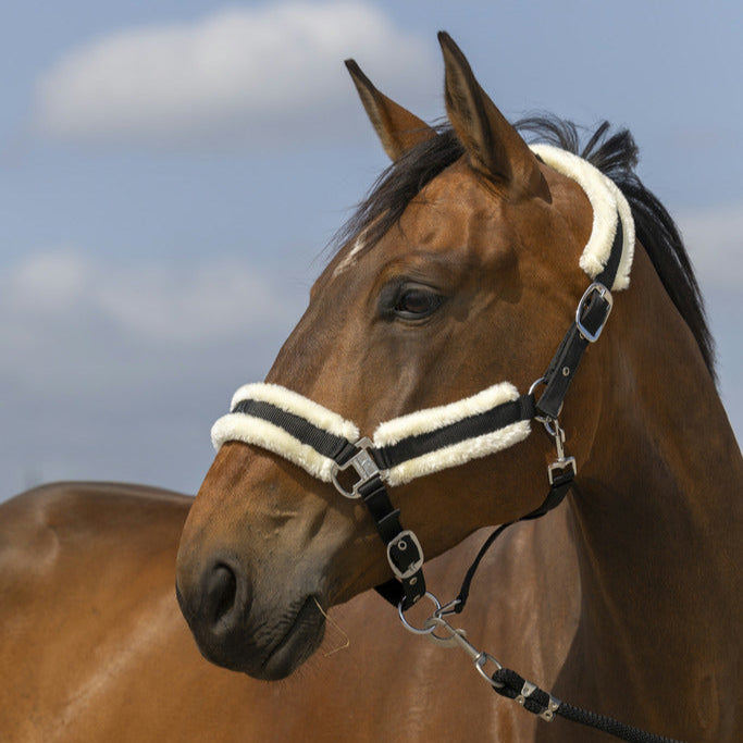 Equitheme Nylon Mouton Headcollar #colour_black-white