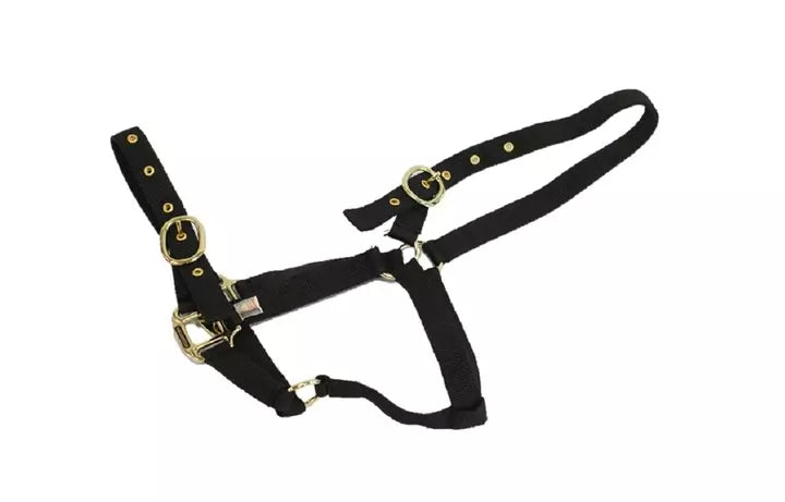 Mackey Equisential Nylon Headcollar #colour_black