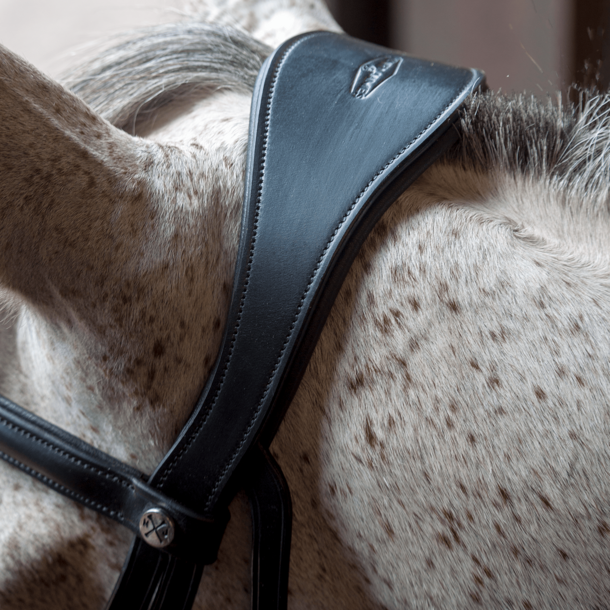 Henry James Patent Dressage Bridle