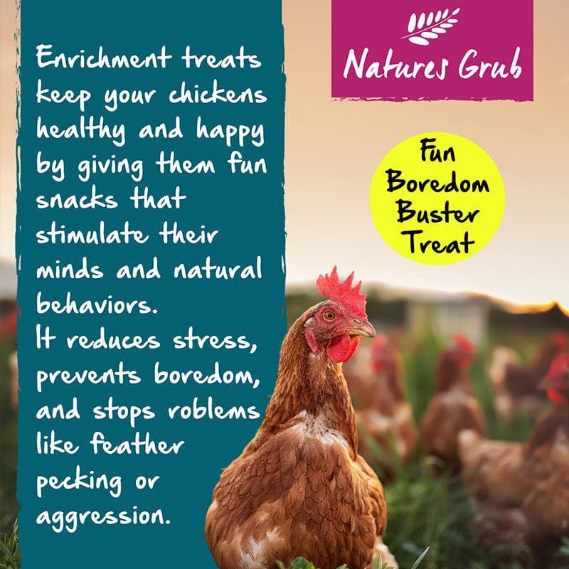 Nature's Grub Snap 'N' Share Treat Bar