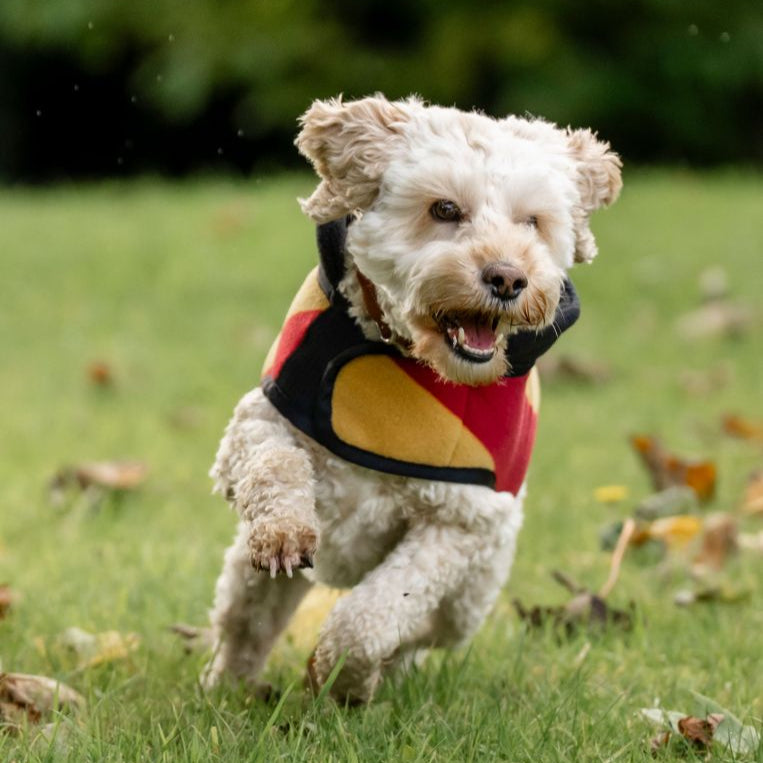 Horseware Ireland Newmarket Dog Fleece #colour_whitney-gold