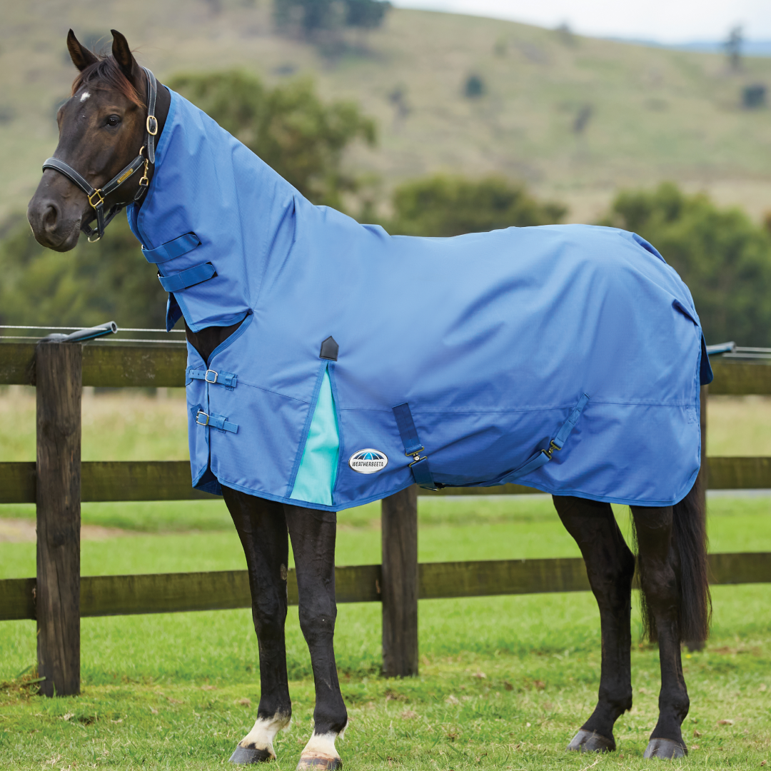 Weatherbeeta Comfitec Classic Combo Neck Lite #colour_delft-blue-mint