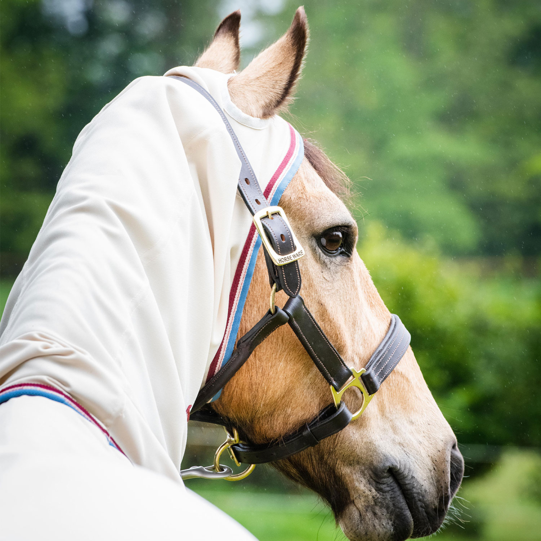 Horseware Ireland Rambo Hoody #colour_sand-cherry-peach-blue