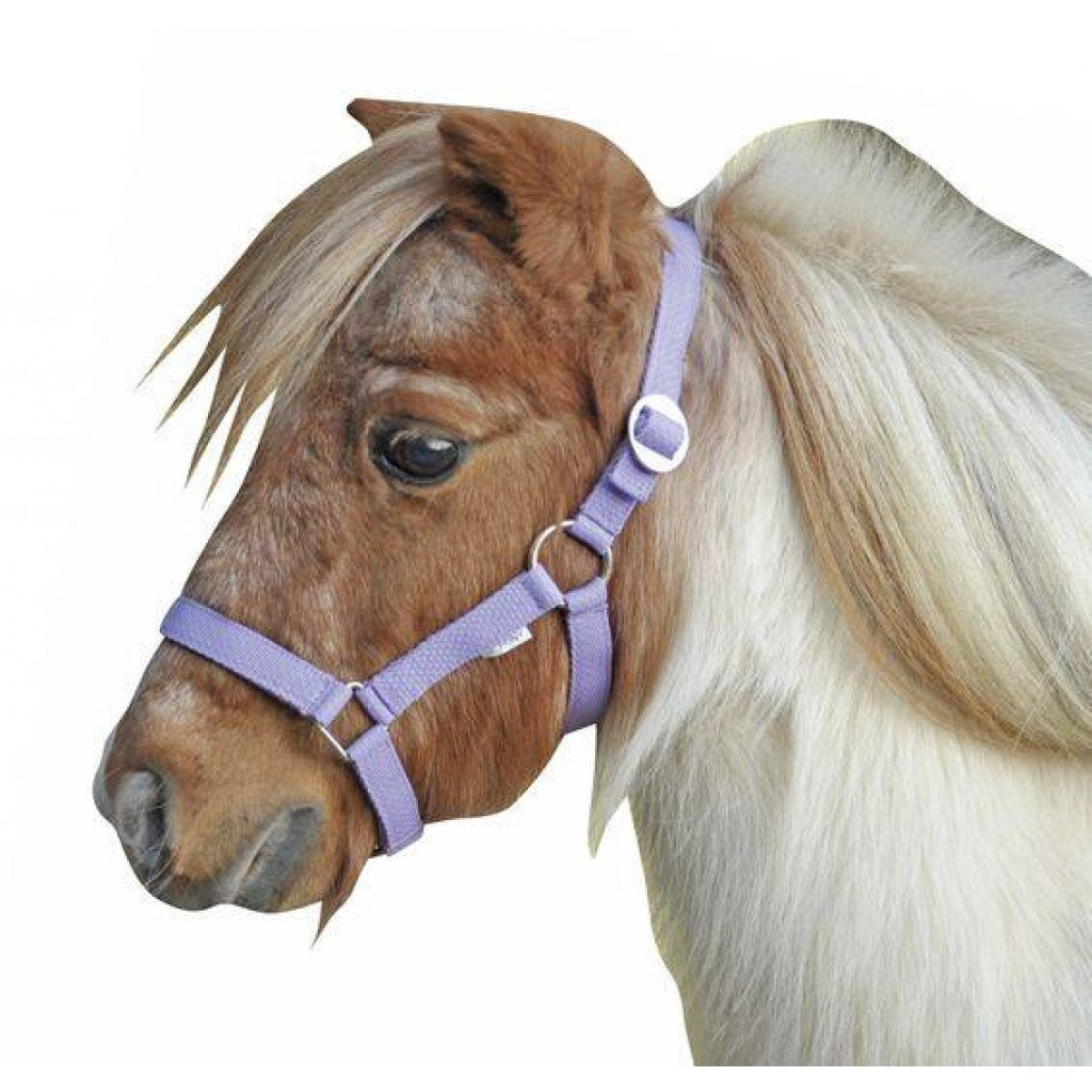 HKM Head Collar for Mini-Shetty #colour_lilac