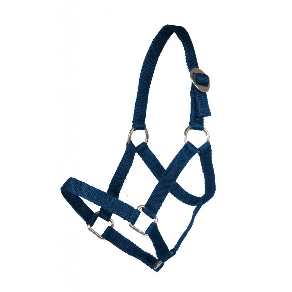 HKM Head Collar for Mini-Shetty #colour_deep-blue