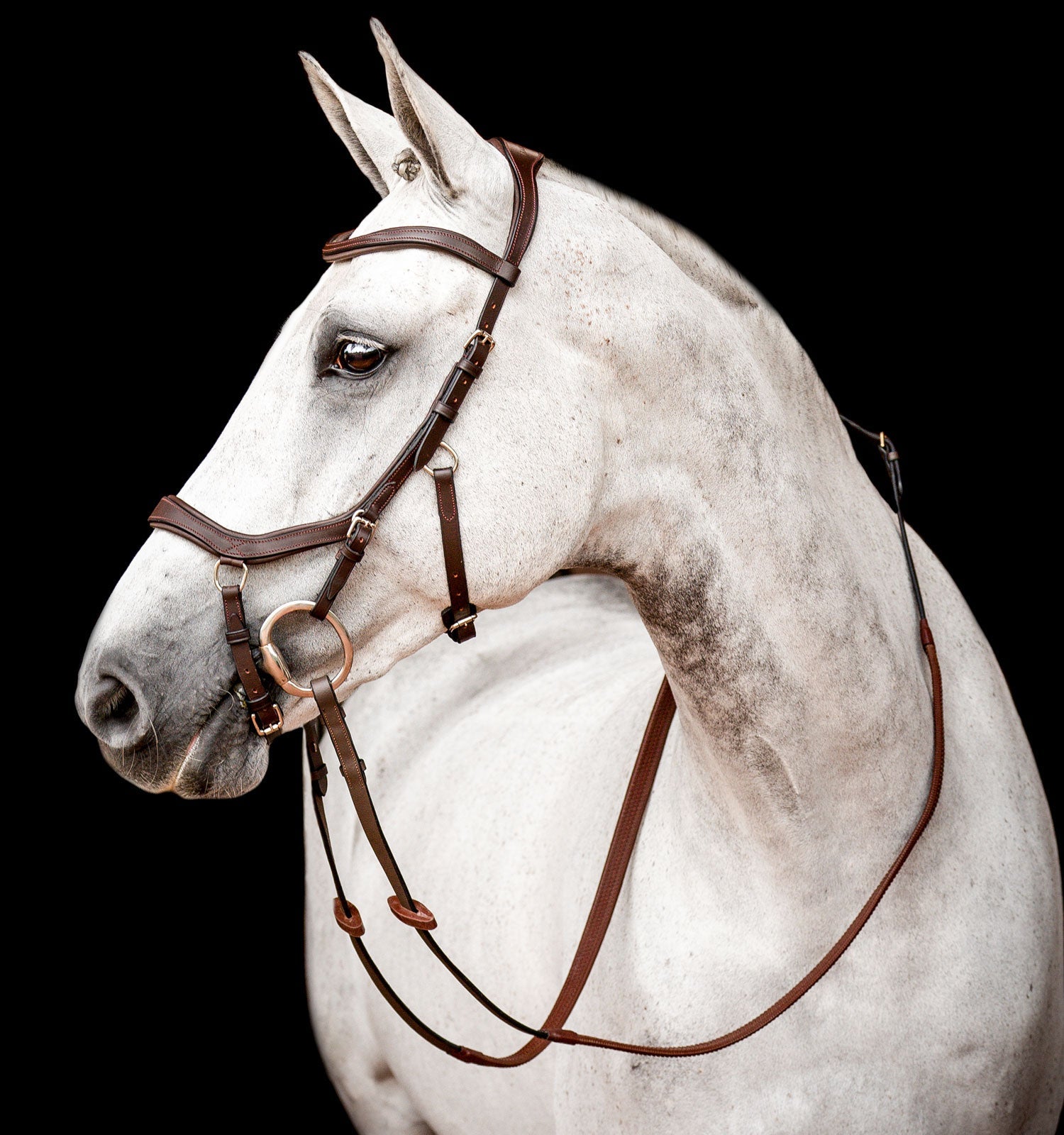Horseware Ireland Micklem 2 Competition Bridle #colour_dark-havana