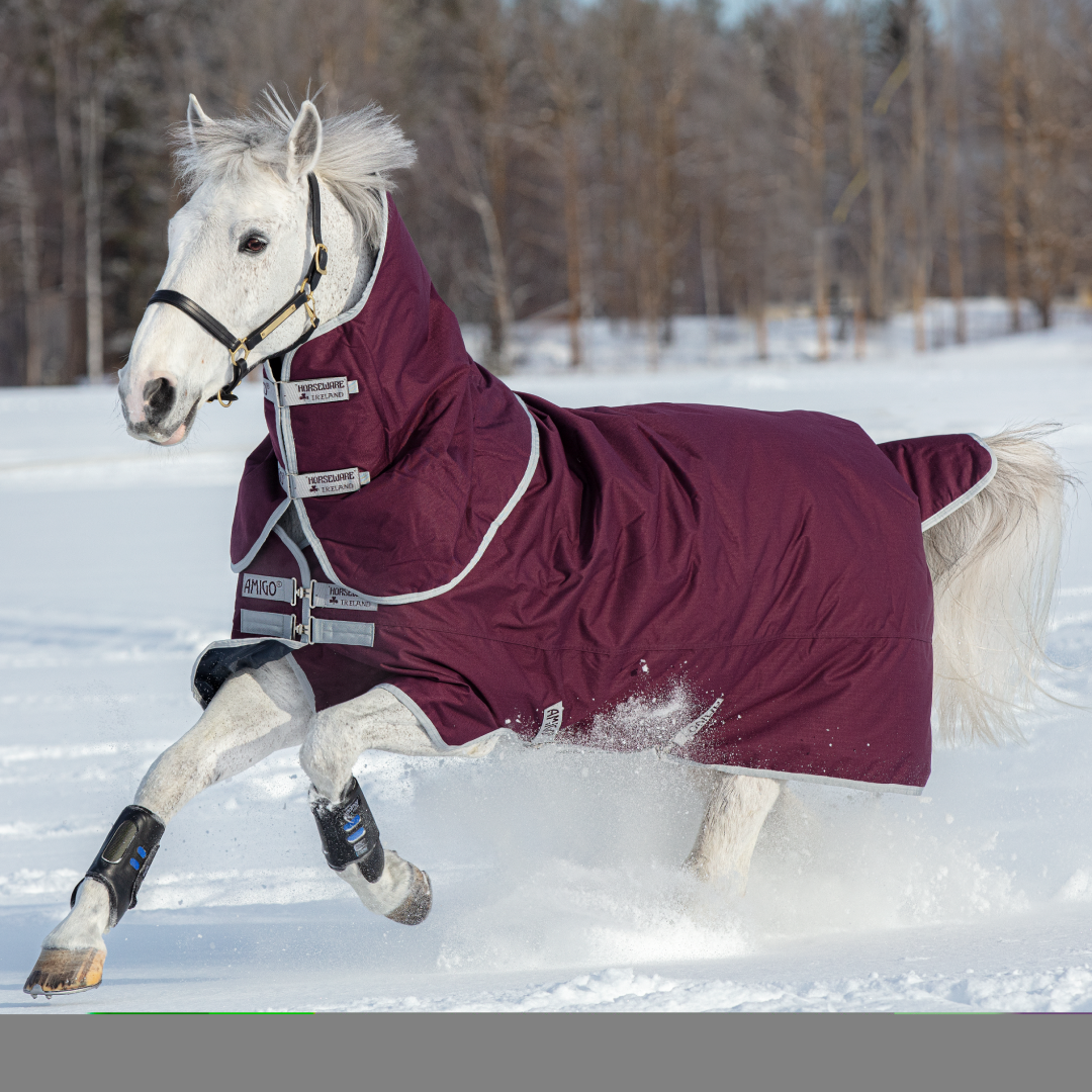 Horseware Ireland Amigo Hero 600D With Ripstop Plus 200g #colour_fig-silver
