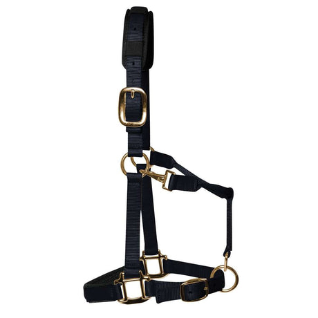 KM Elite Padded Headcollar #colour_black