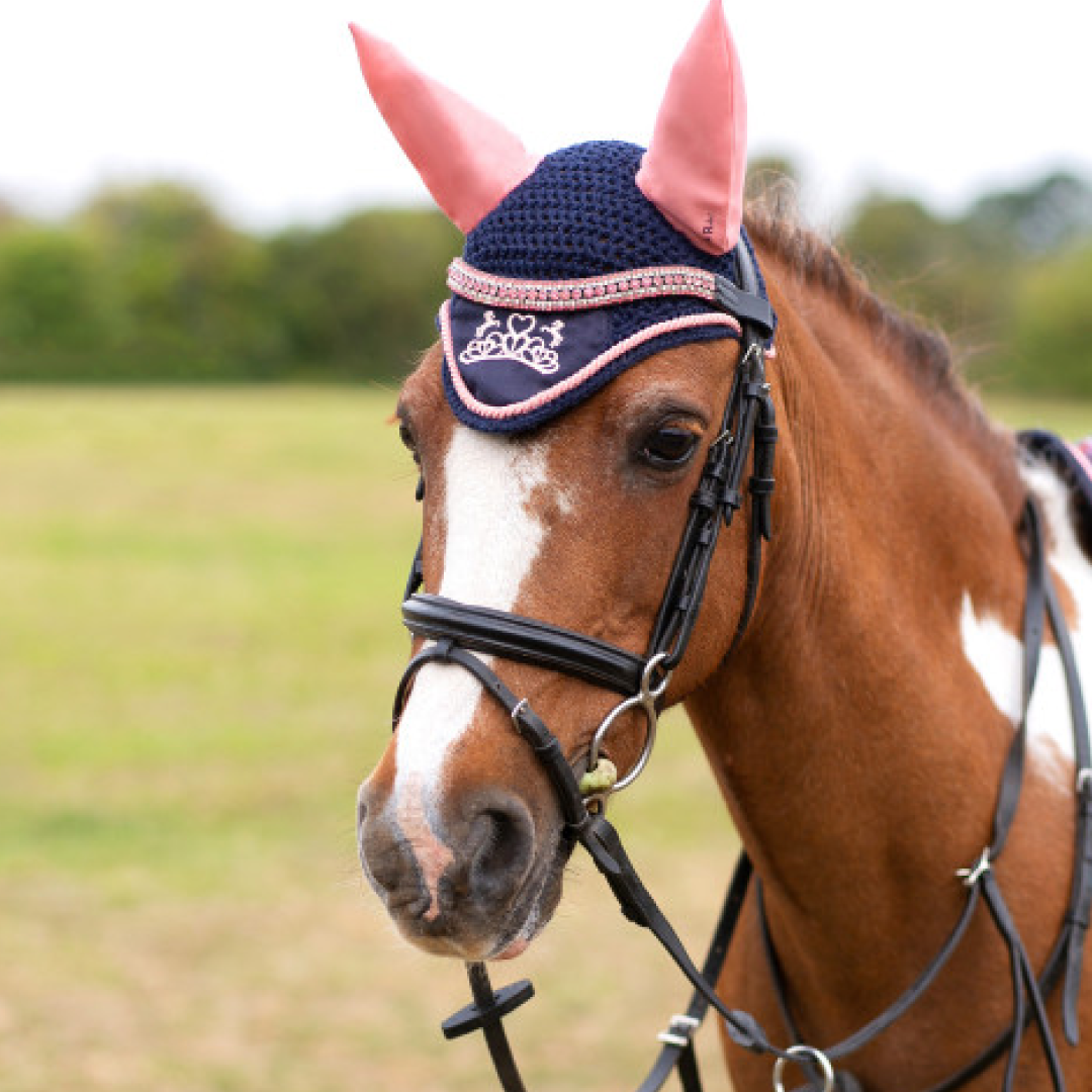 Little Rider The Princess and the Pony Fly Veil #colour_navy-peach