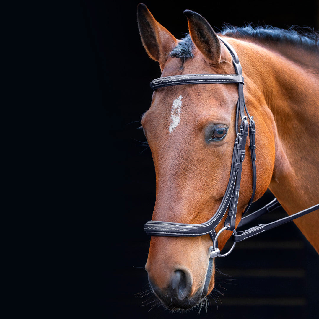 Shires Salisbury Berkeley Anatomical Cavesson Bridle #colour_black
