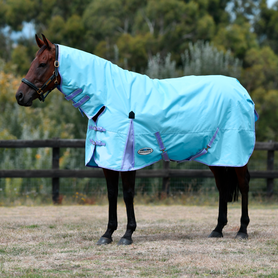 Weatherbeeta Comfitec Classic Combo Neck Lite #colour_light-blue-purple