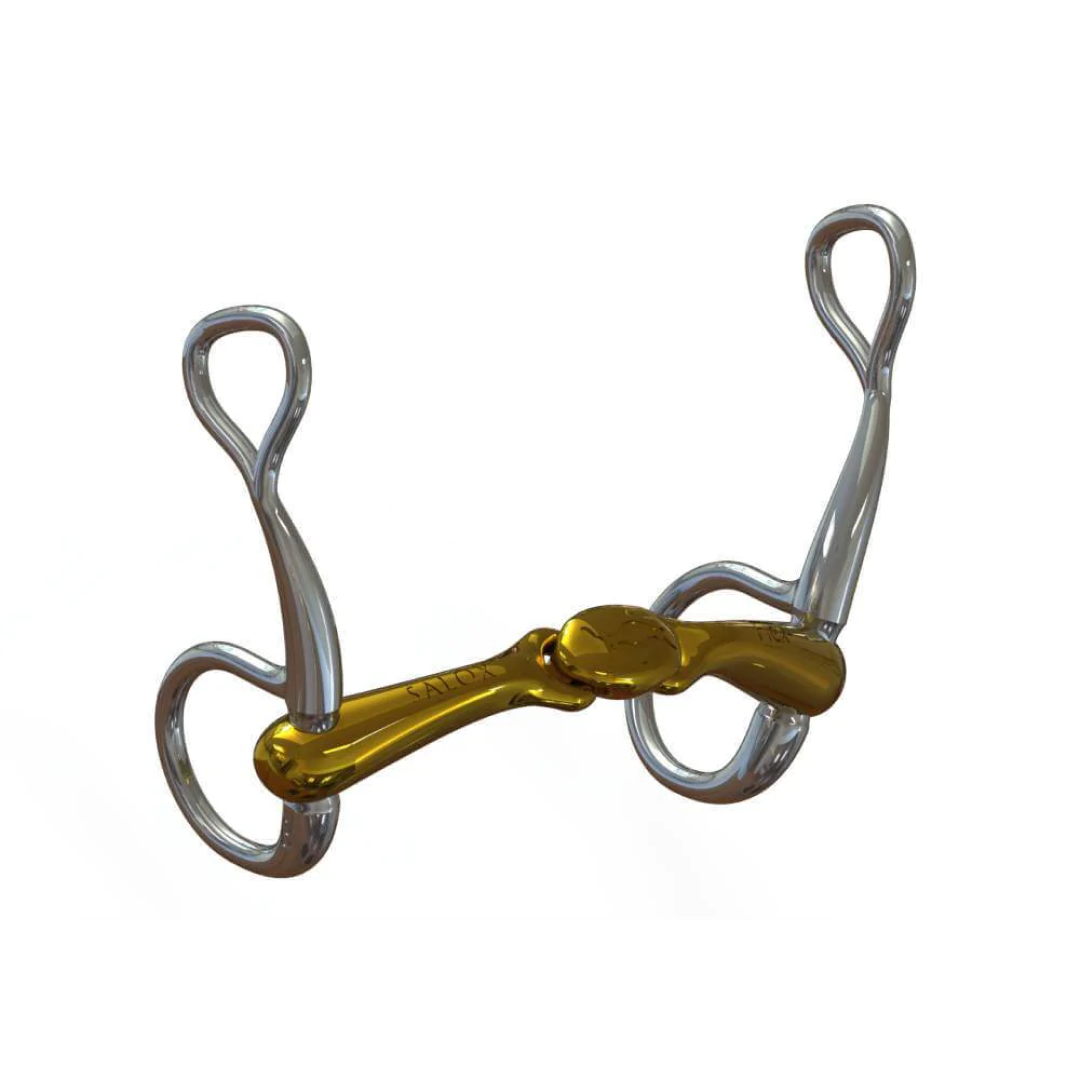 Neue schule Schildkrötenplatte mit Flex 16mm Baucher