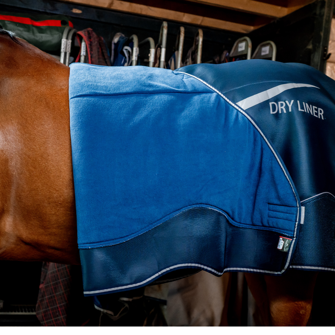 Horseware Dry Liner #colour_navy-silver