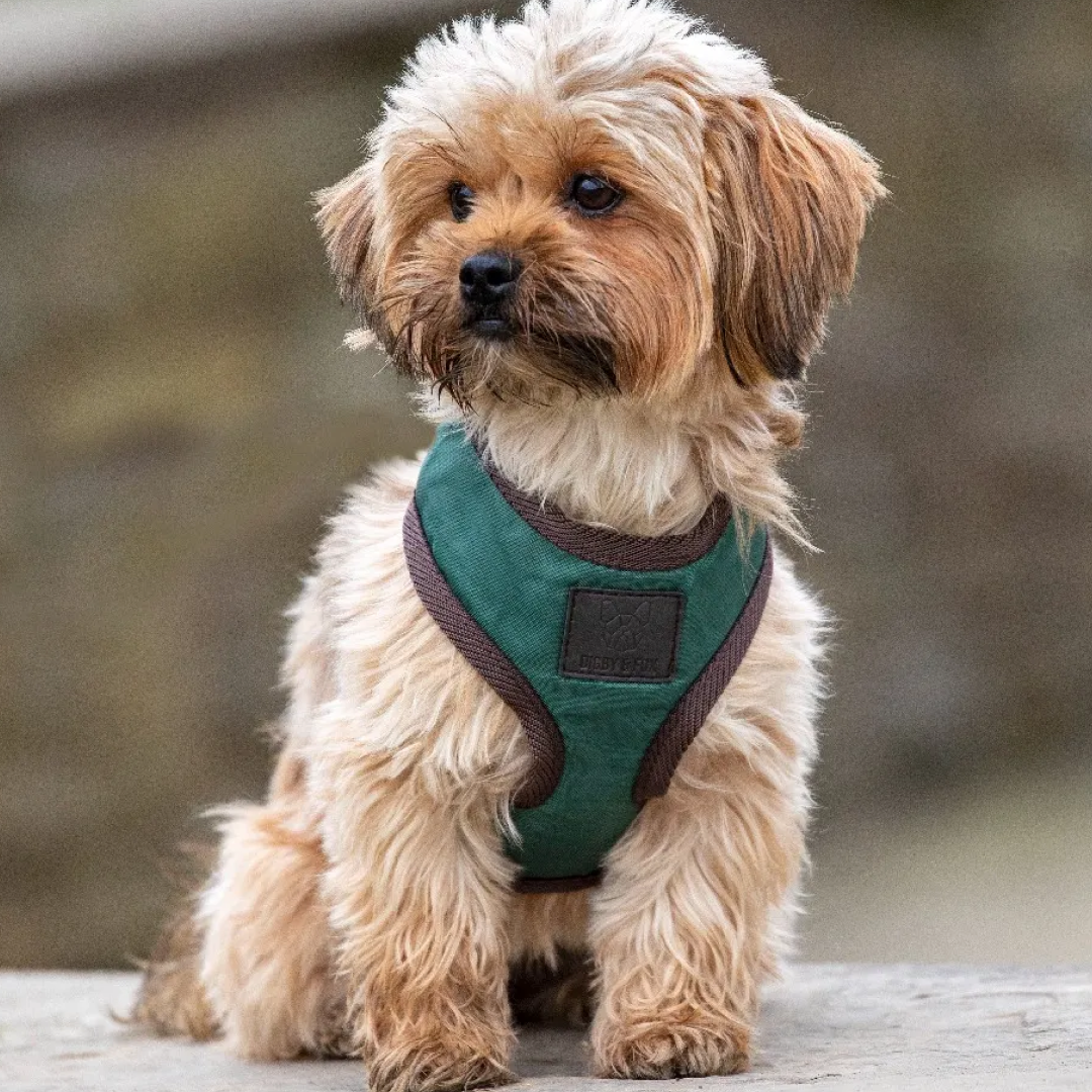 Shires Digby & Fox Heritage Harness #colour_forest