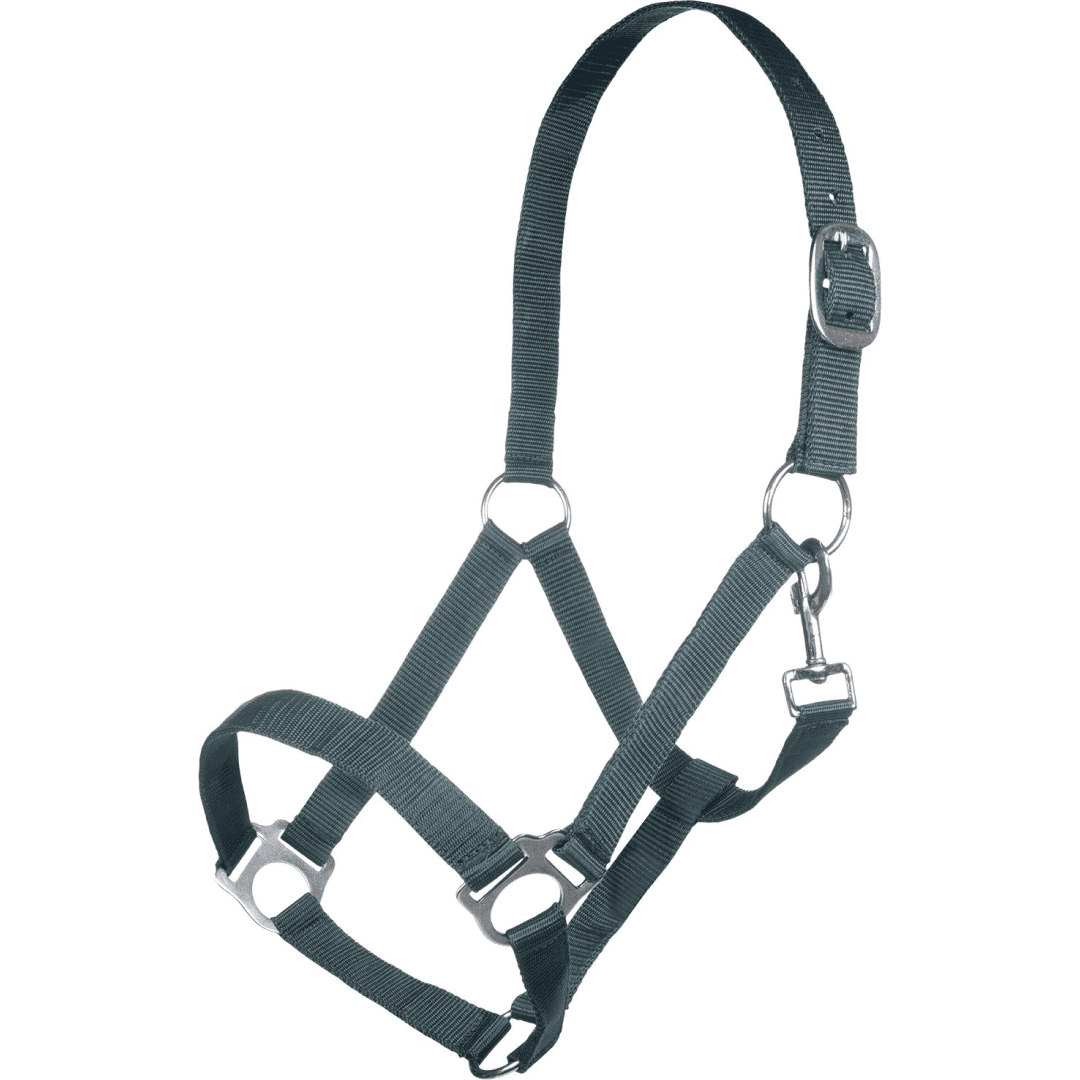 HKM Innsbruck Head Collar #colour_deep-green