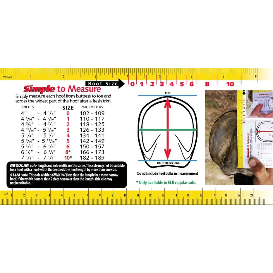 Cavallo Sport Boot Regular With FOC Hoof Pick & Brush